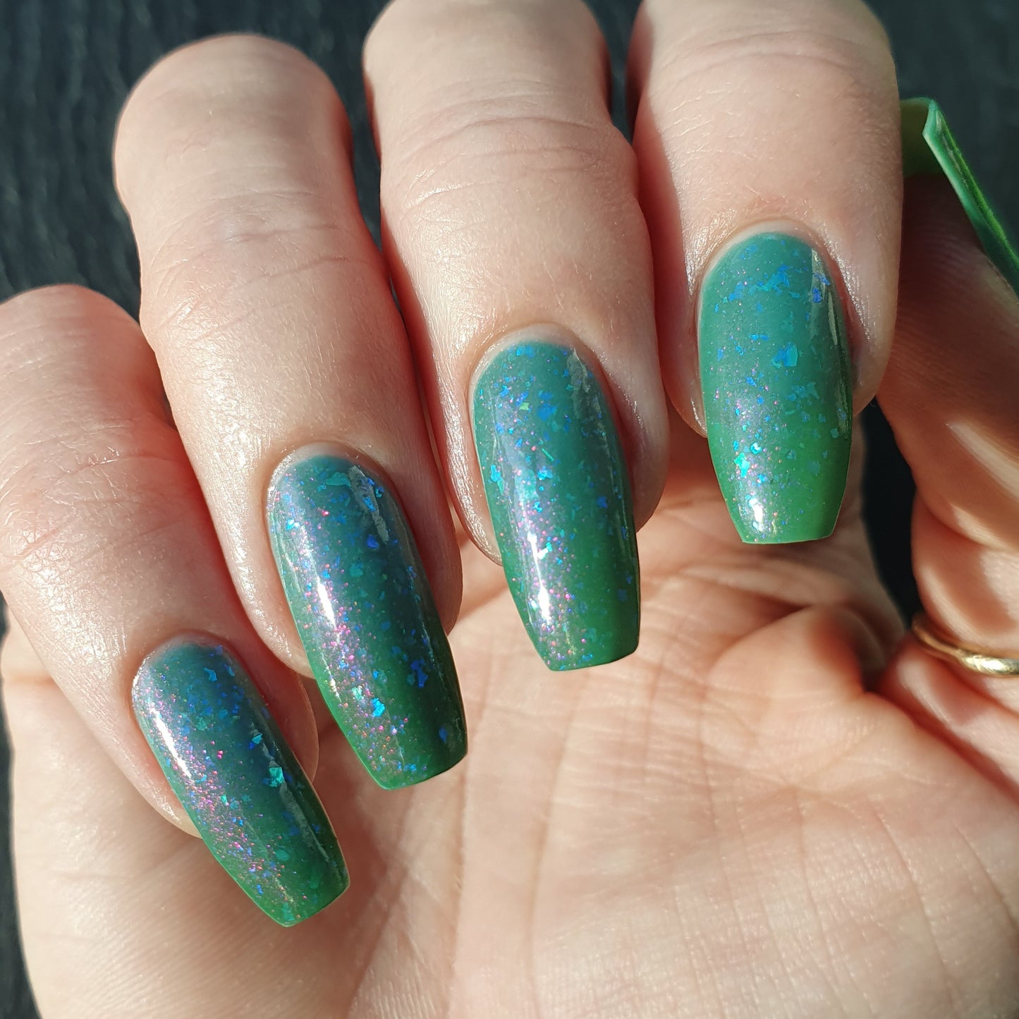 Kelpie's Guise