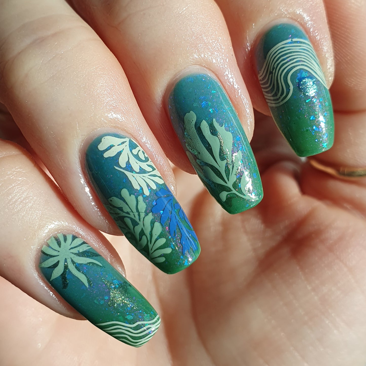 Kelpie's Guise