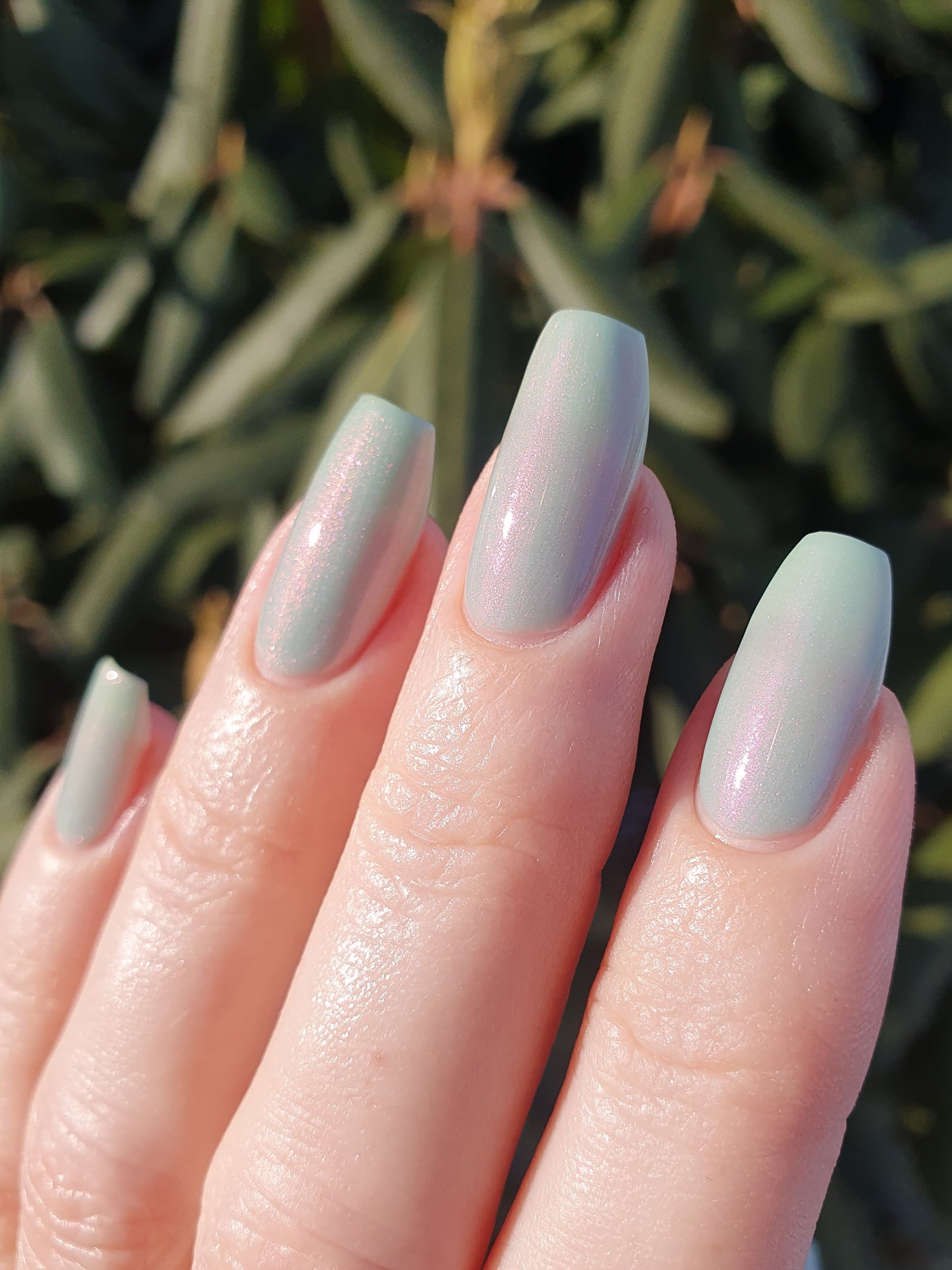 Tropicorn