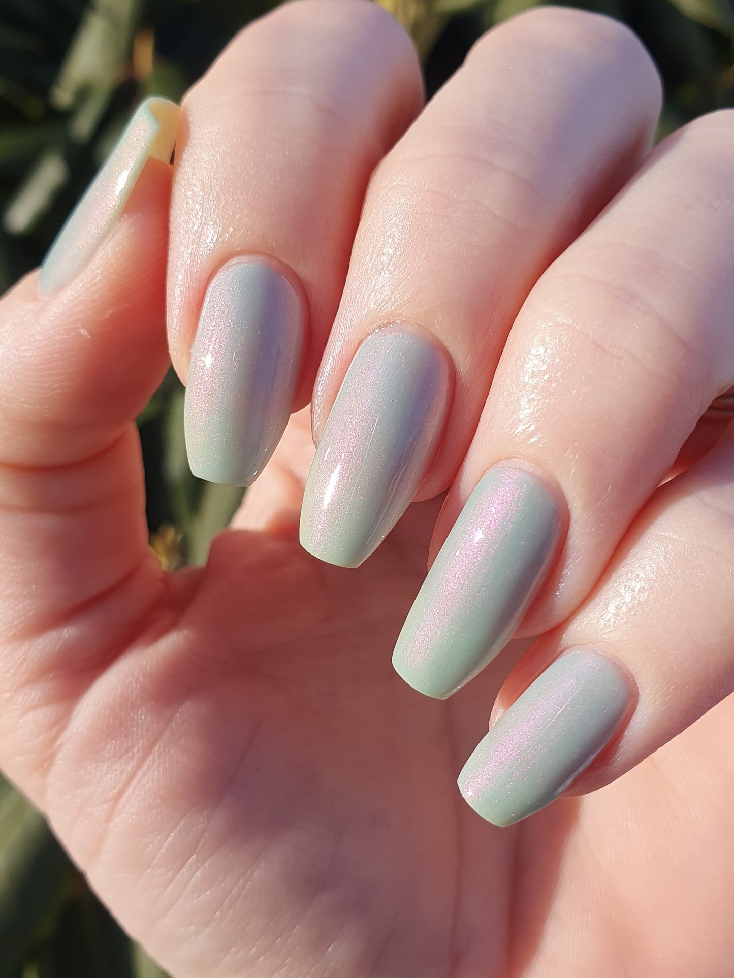 Tropicorn