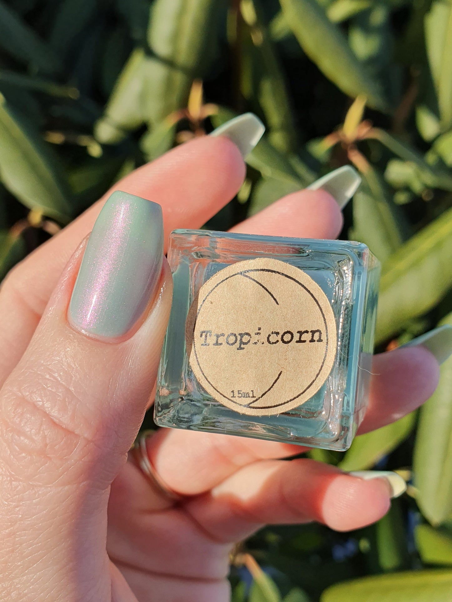Tropicorn