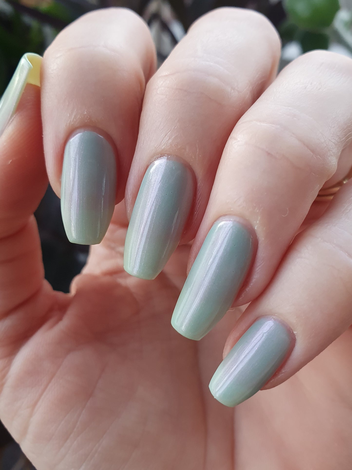 Tropicorn