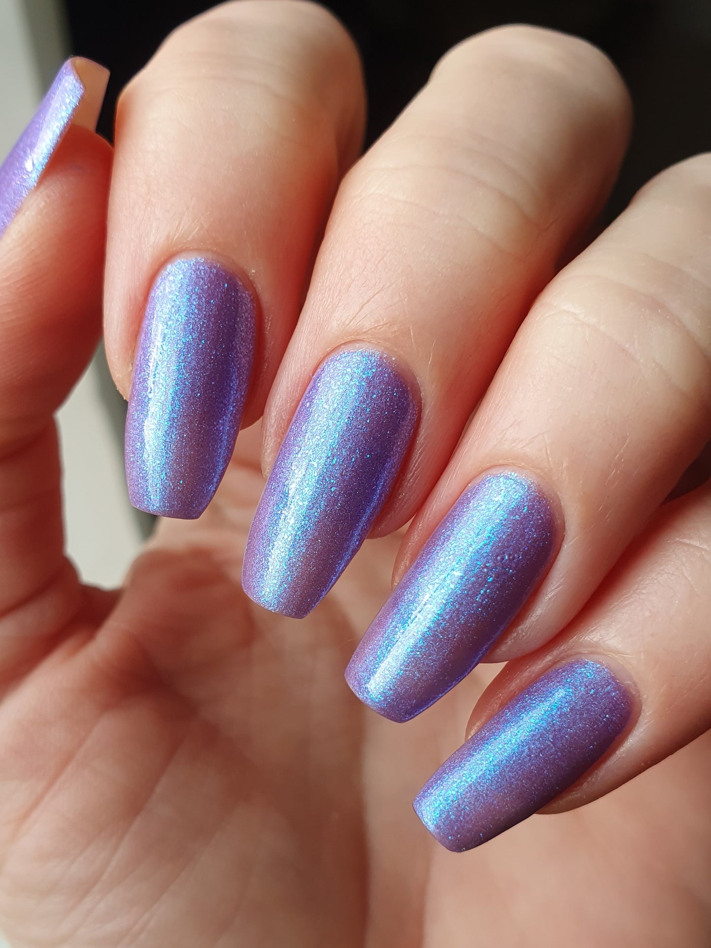 Noctiluca