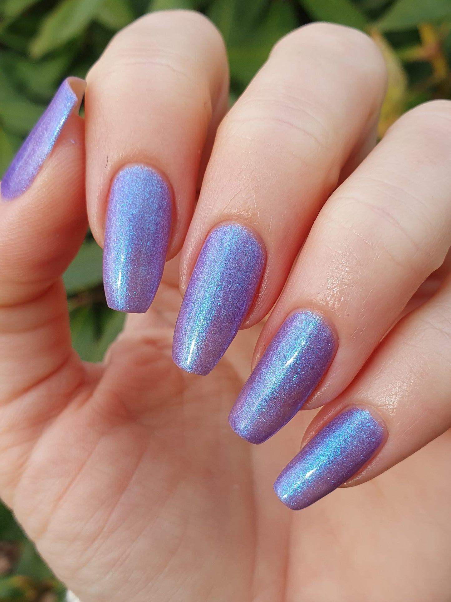 Noctiluca