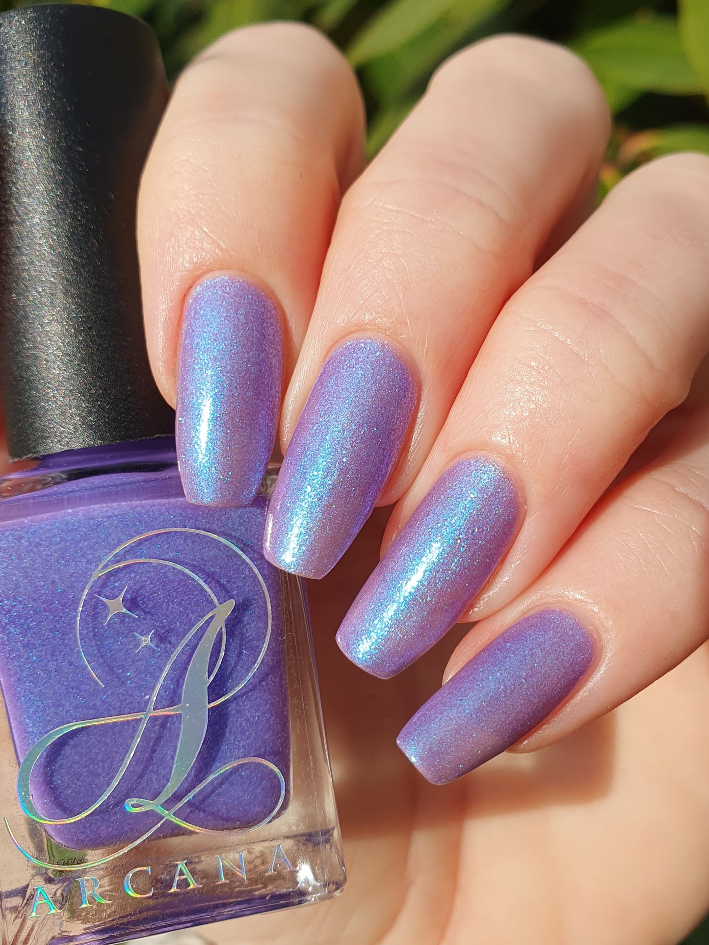 Noctiluca