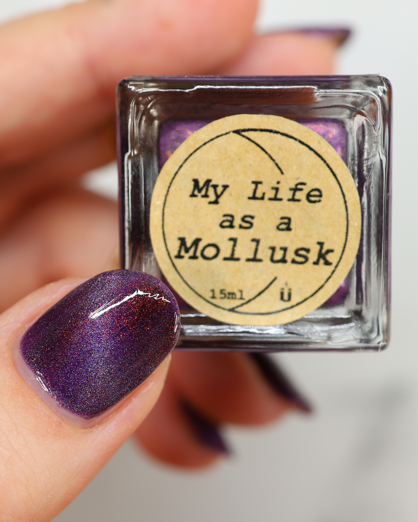 My Life as a Mollusk