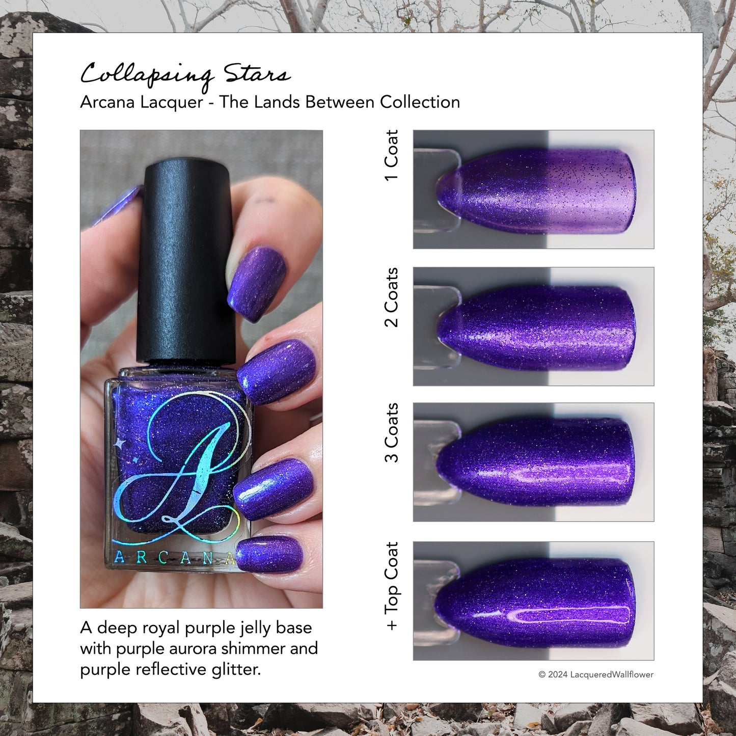 Collapsing Stars