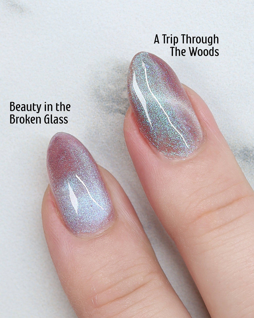 Beauty in the Broken Glass