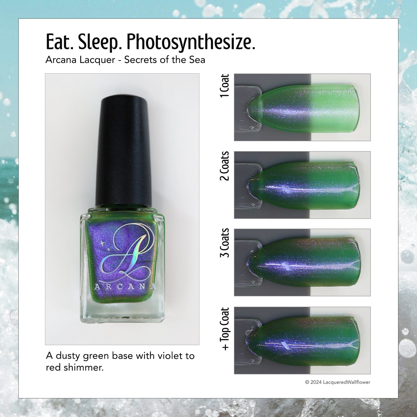 Eat. Sleep. Photosynthesize.
