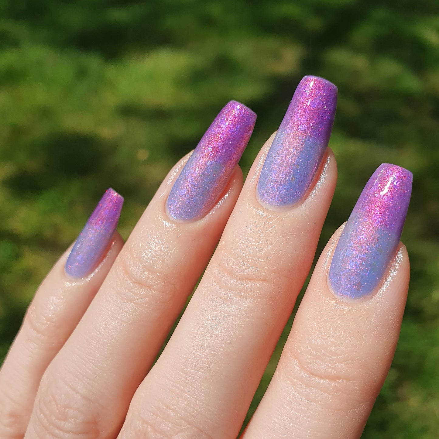 Festival of Comets