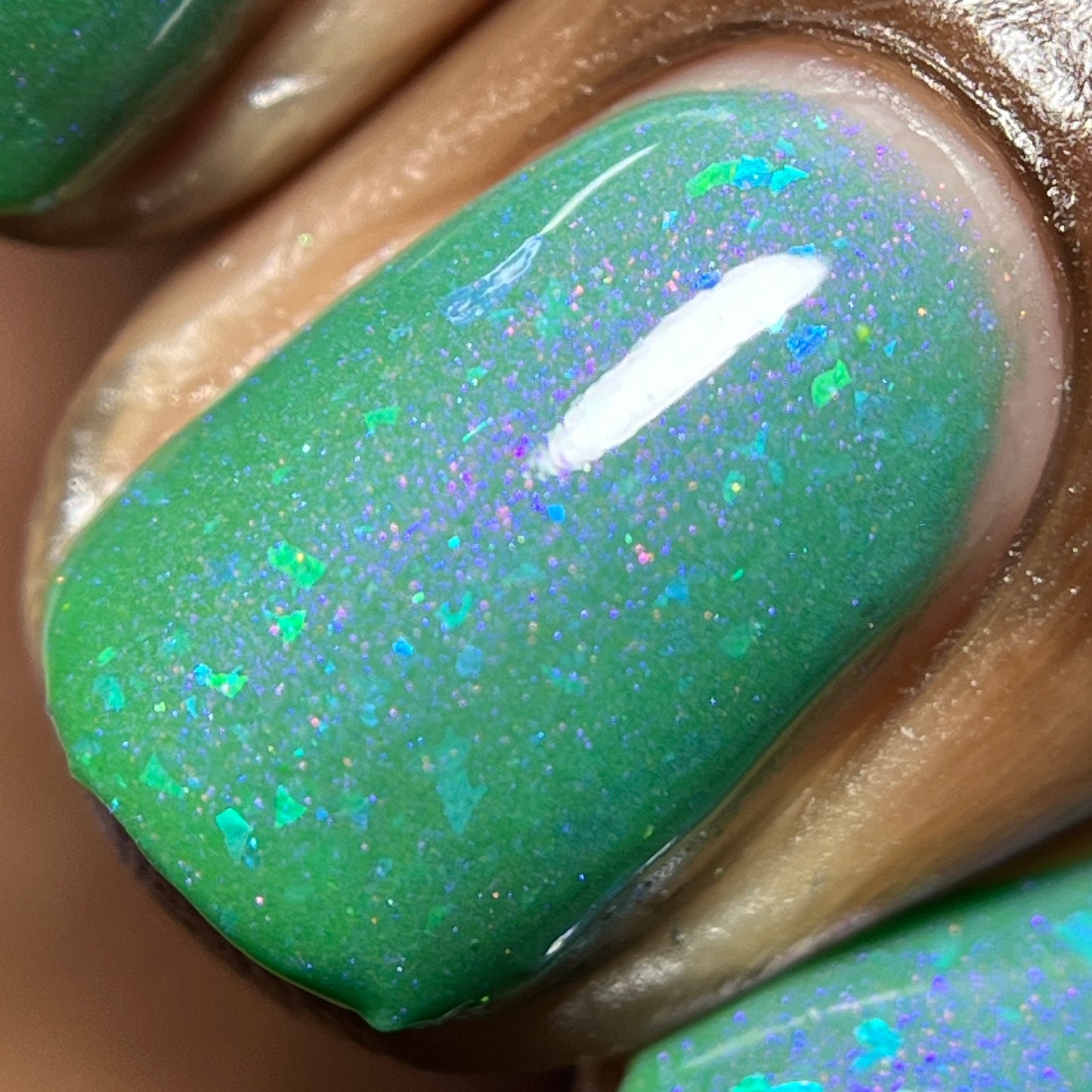 Kelpie's Guise