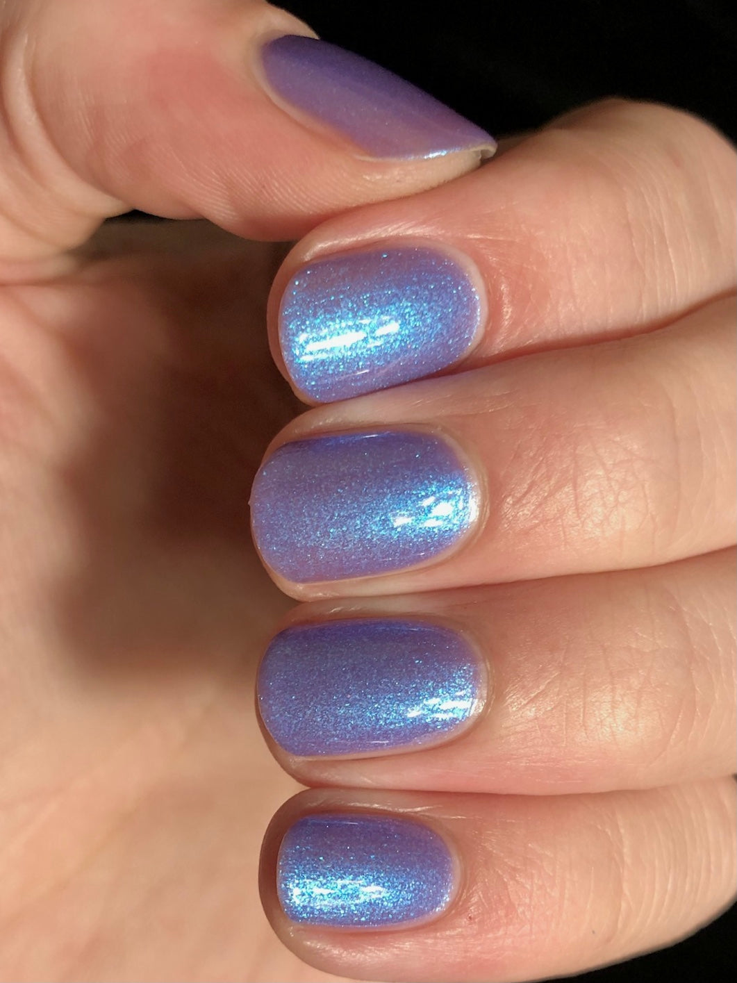 Noctiluca