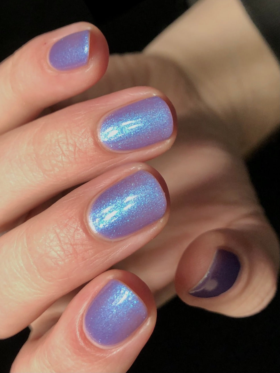 Noctiluca