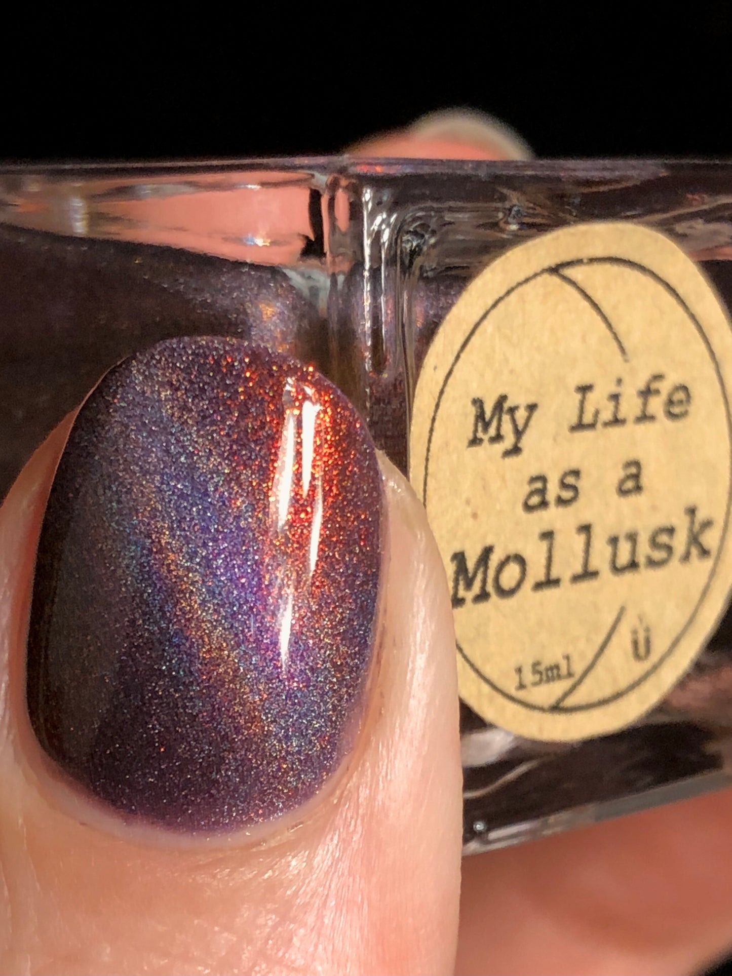 My Life as a Mollusk