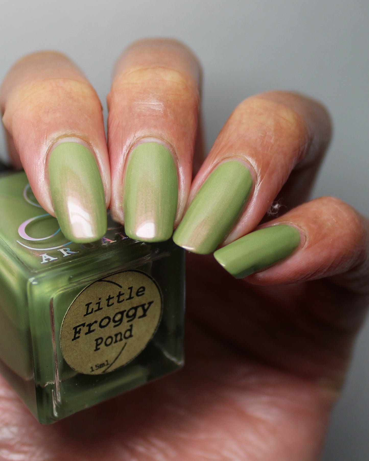Little Froggy Pond