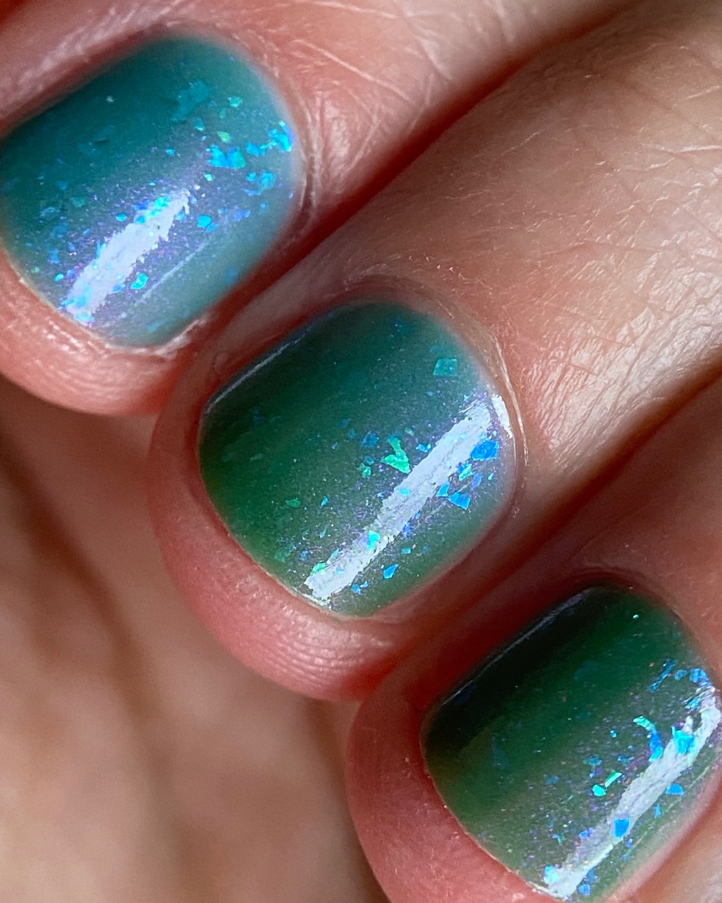 Kelpie's Guise