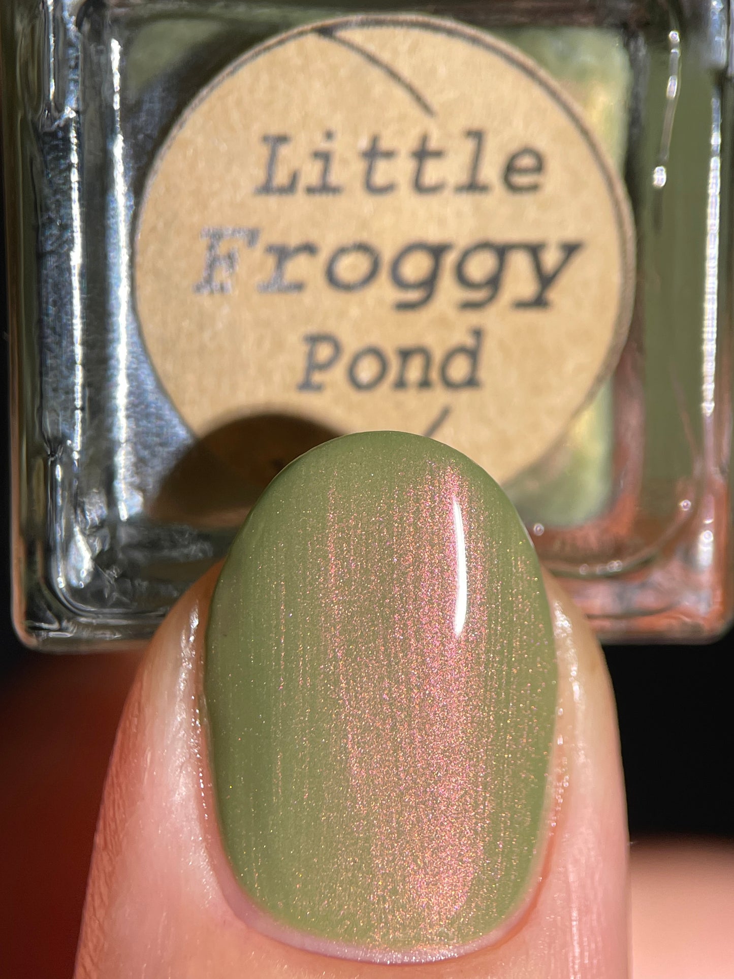 Little Froggy Pond