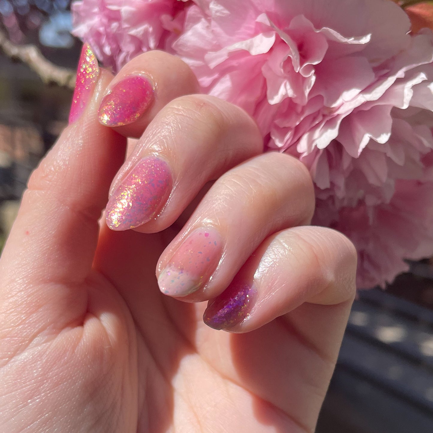 Sakura Season