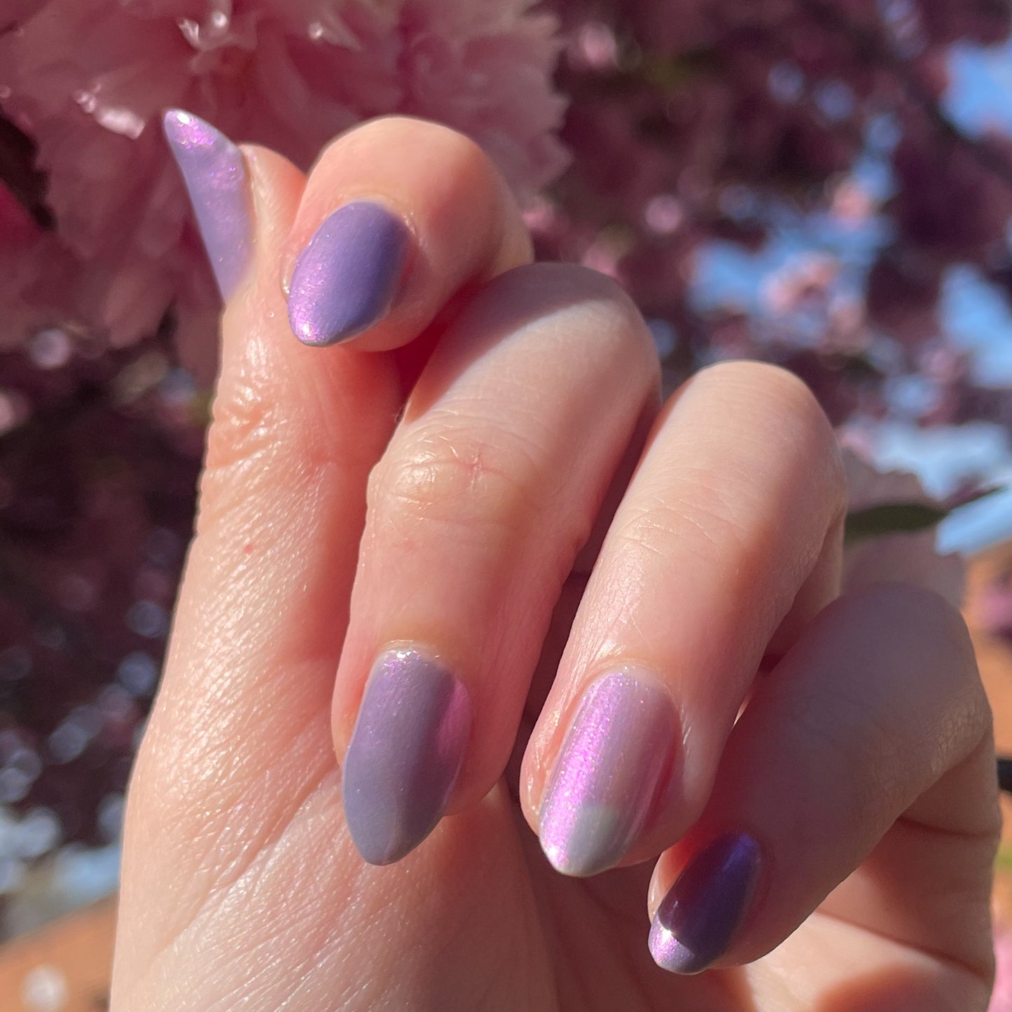 Fields of Lilac