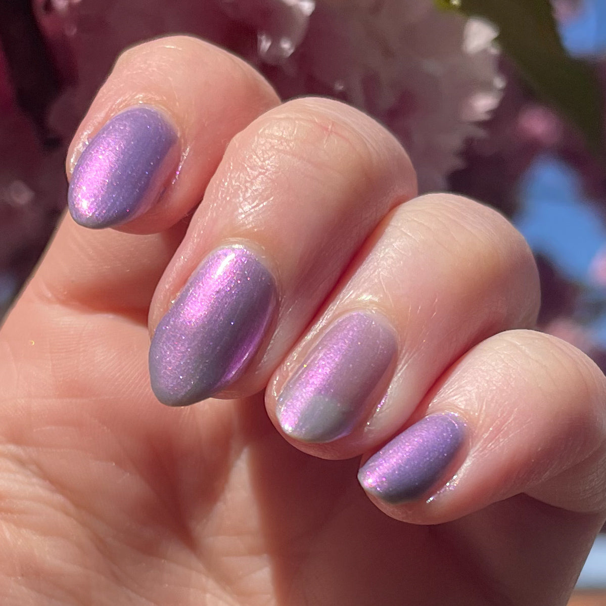 Fields of Lilac