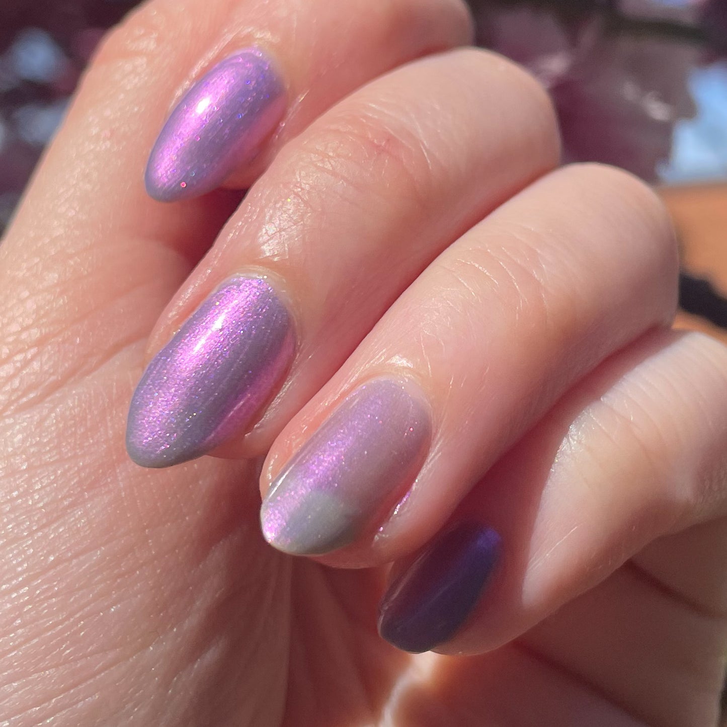 Fields of Lilac