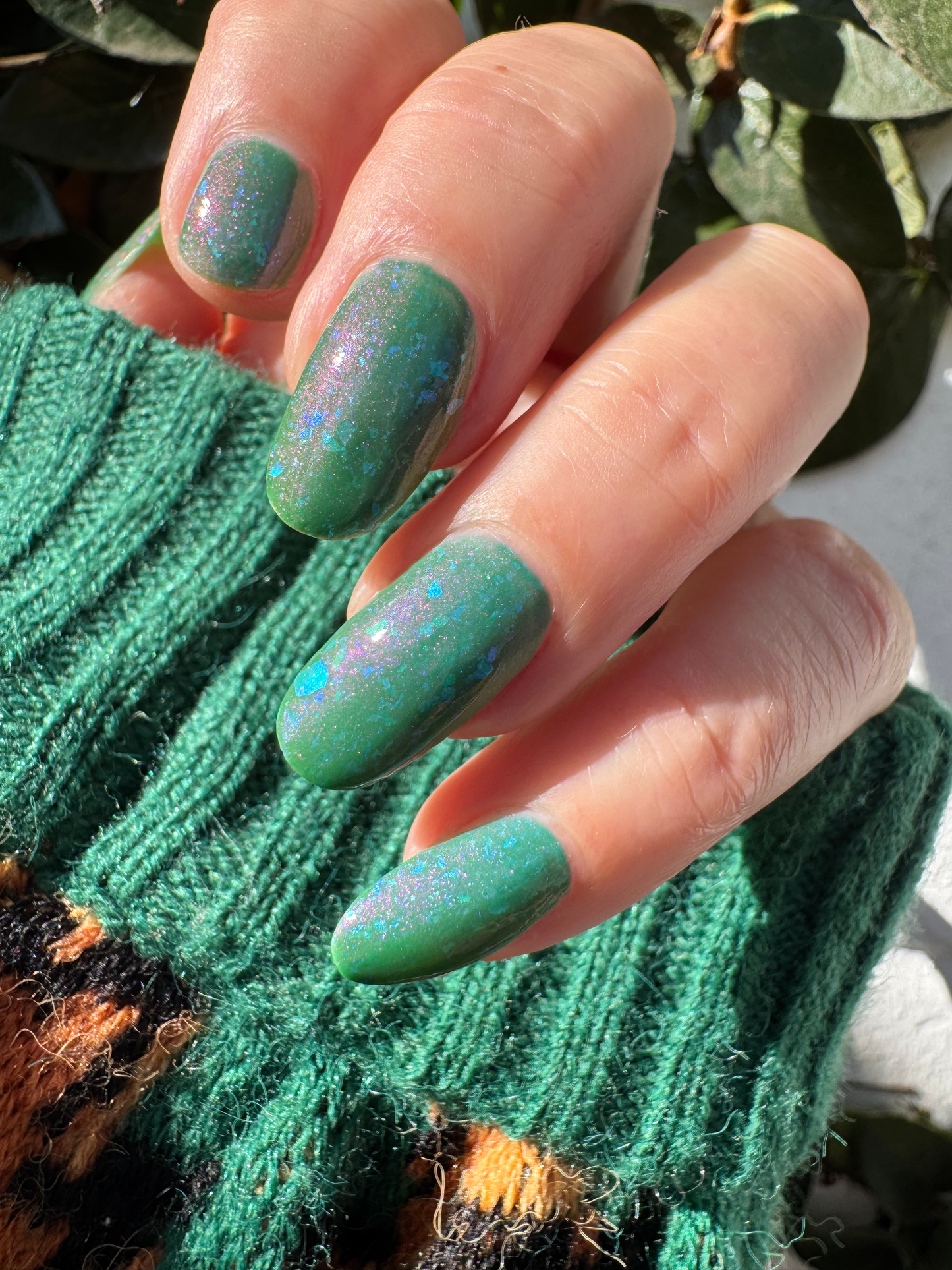 Kelpie's Guise