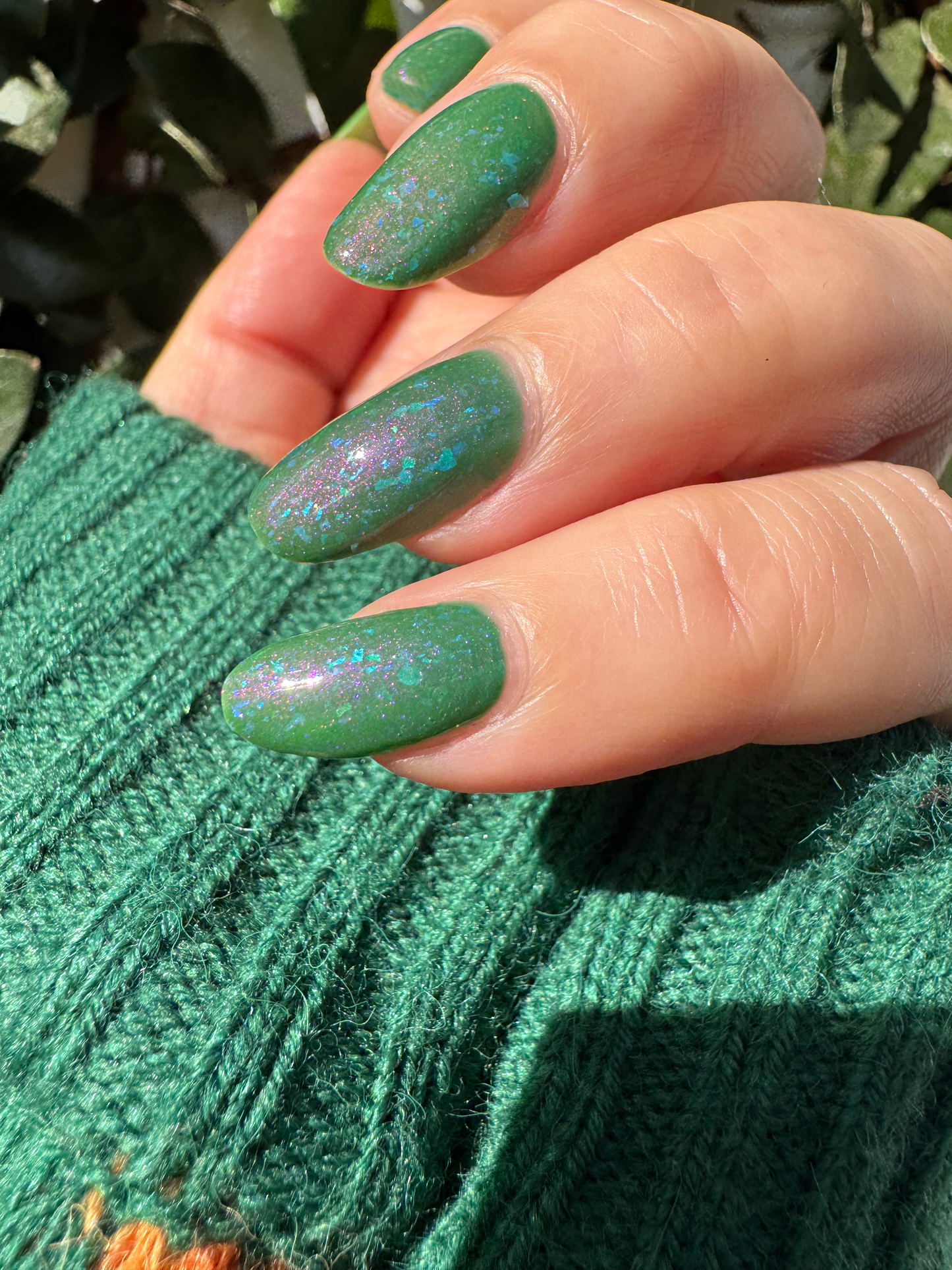 Kelpie's Guise