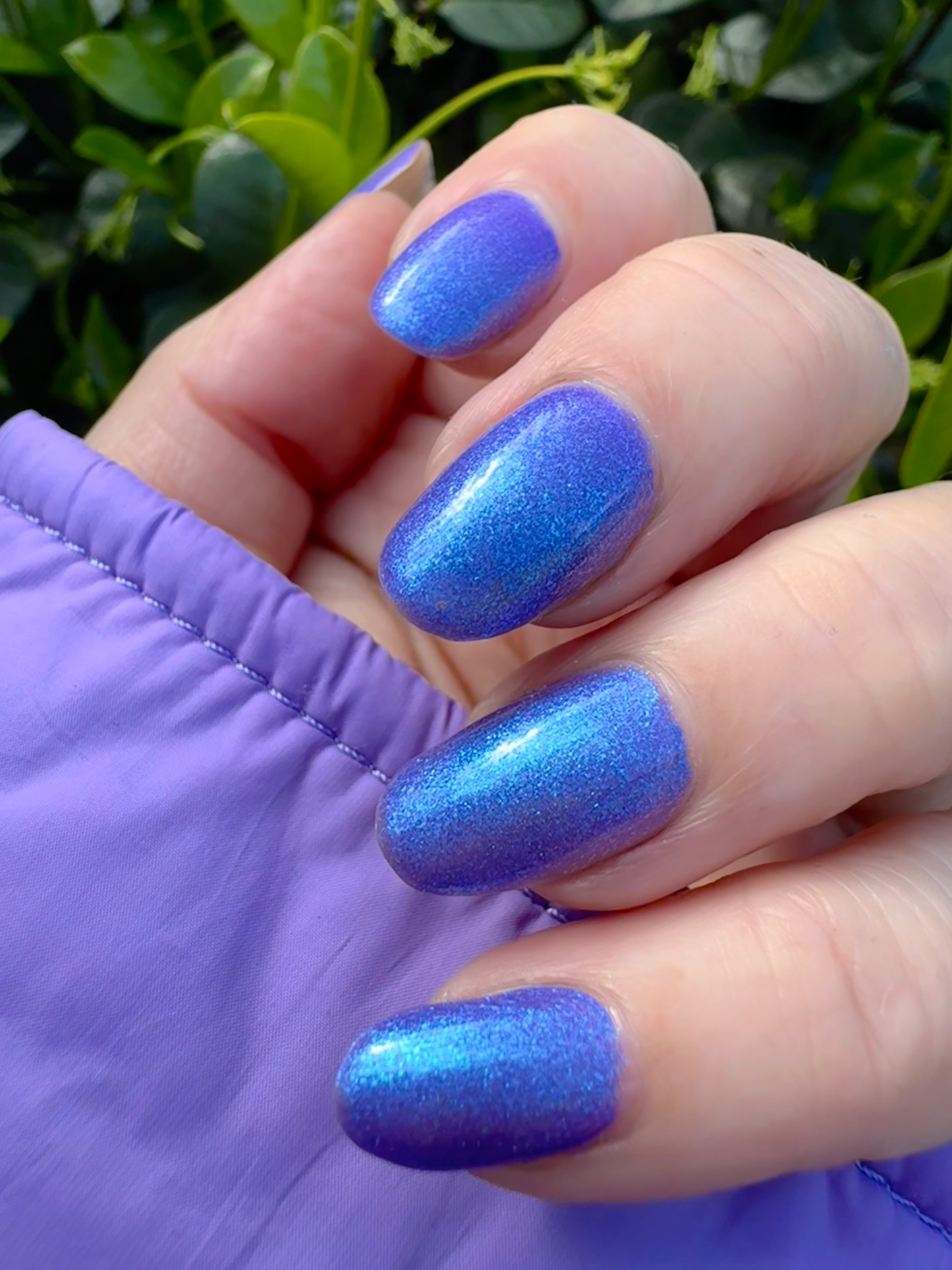 Noctiluca