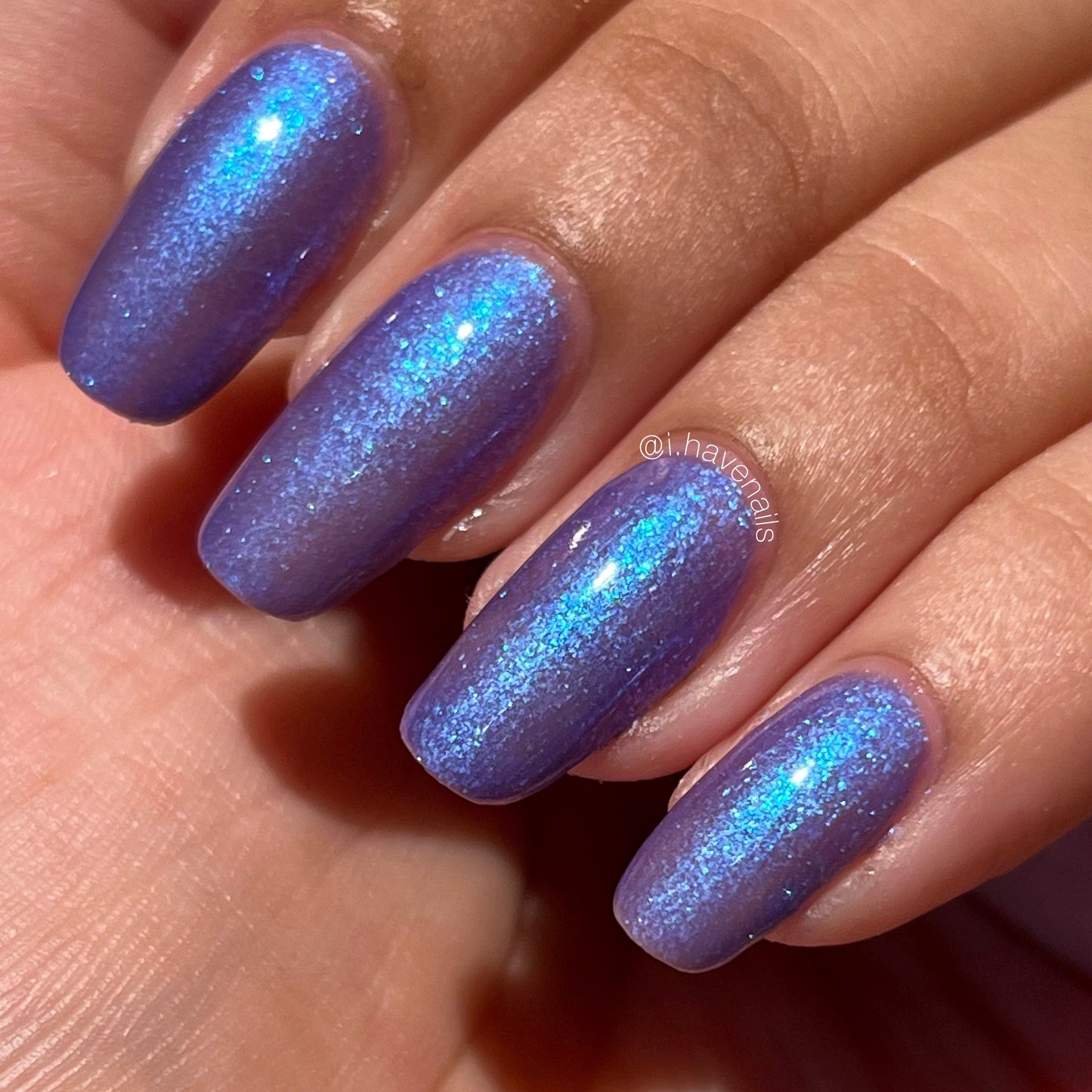 Noctiluca
