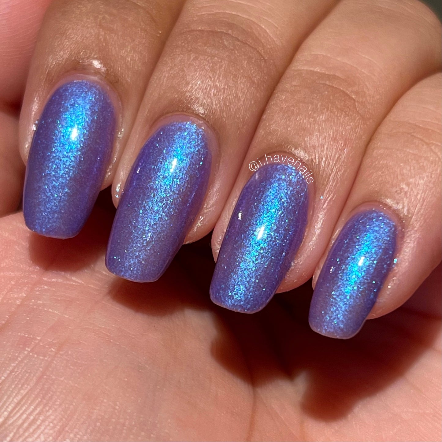 Noctiluca