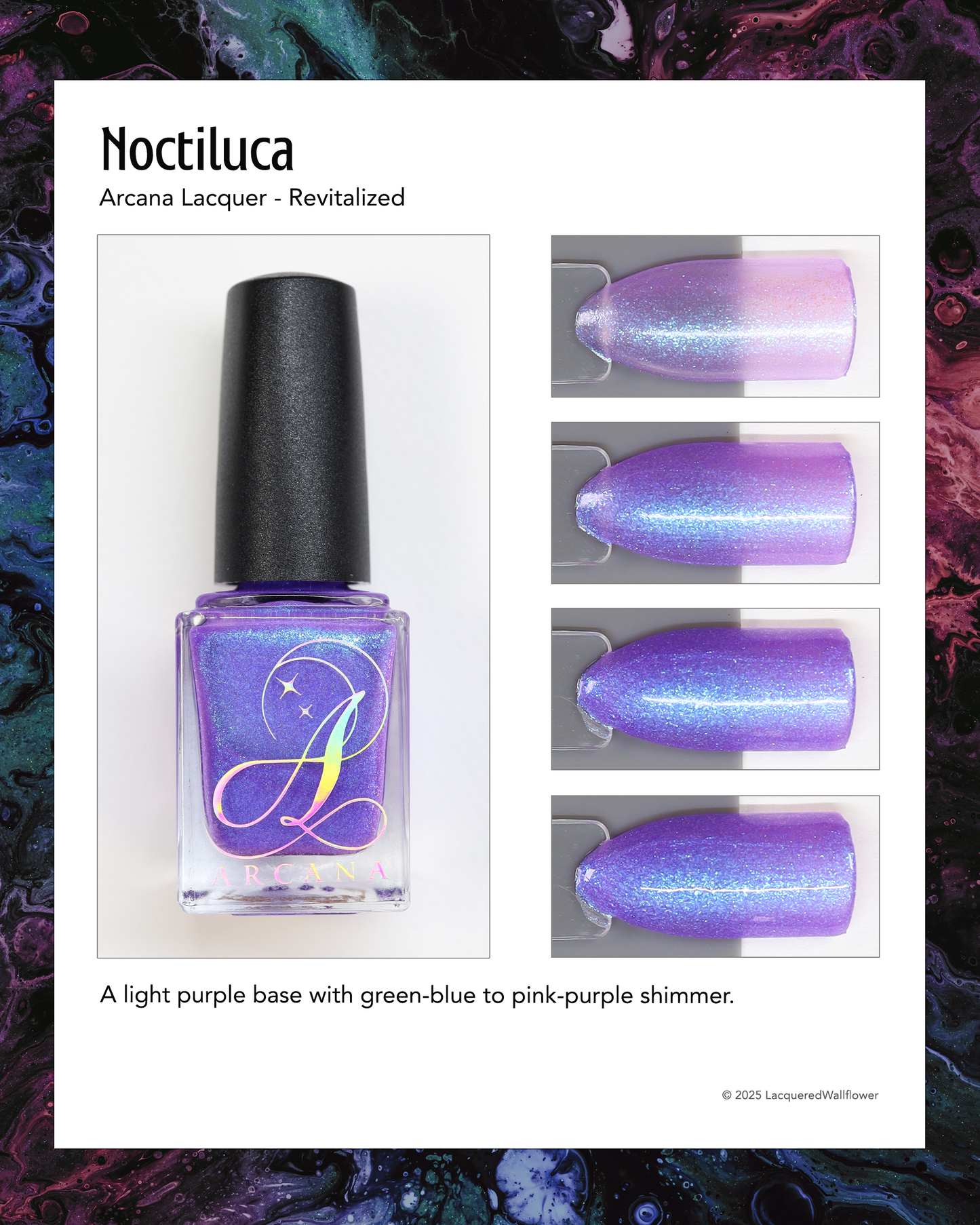 Noctiluca