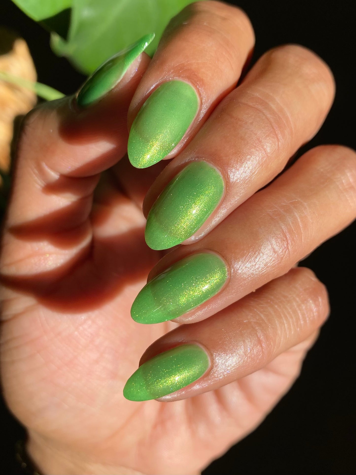 The Time I Sucked on a Lime