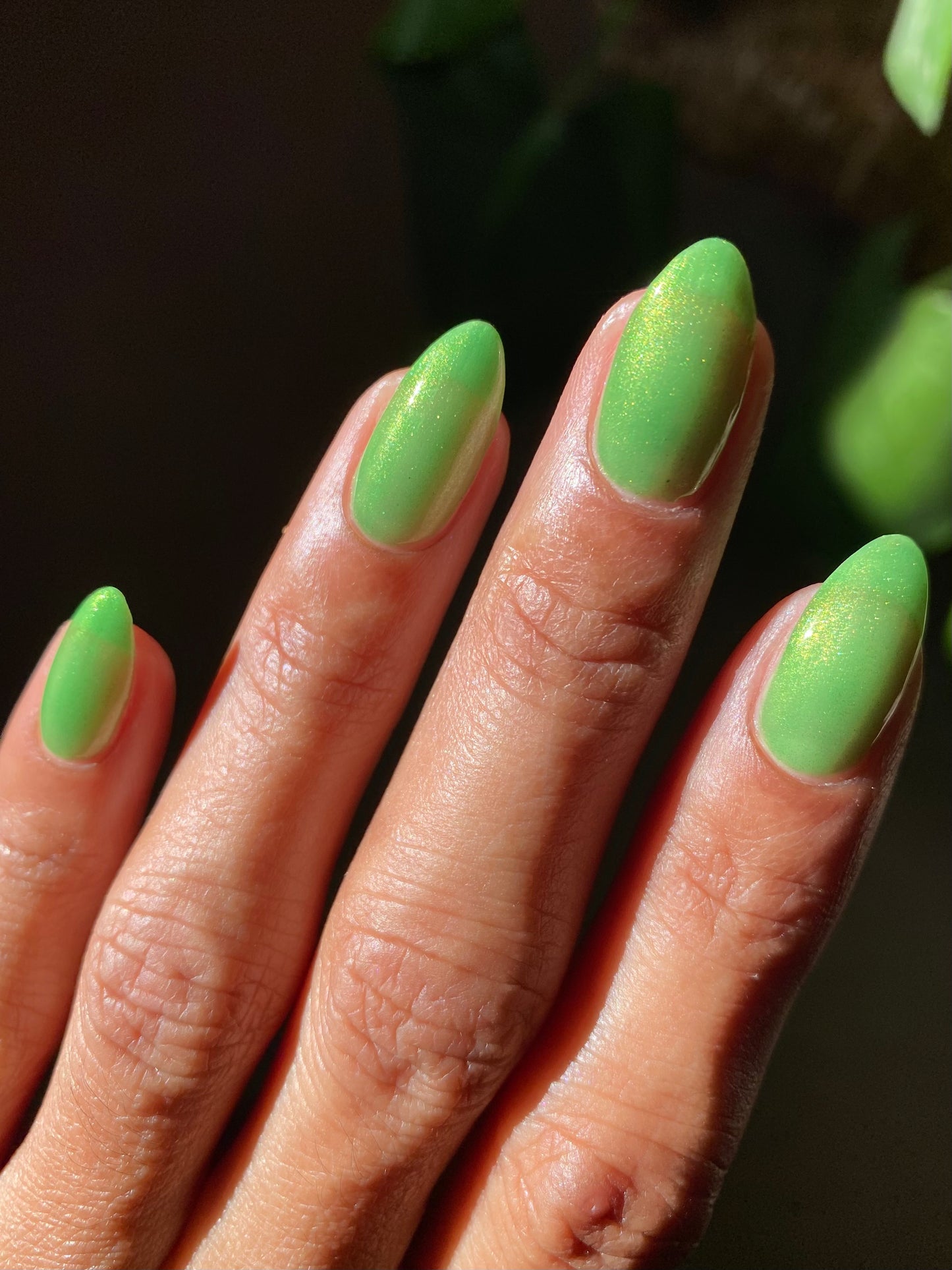 The Time I Sucked on a Lime