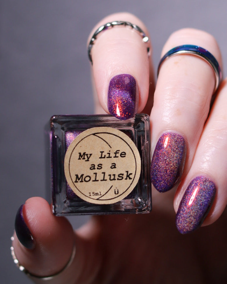 My Life as a Mollusk
