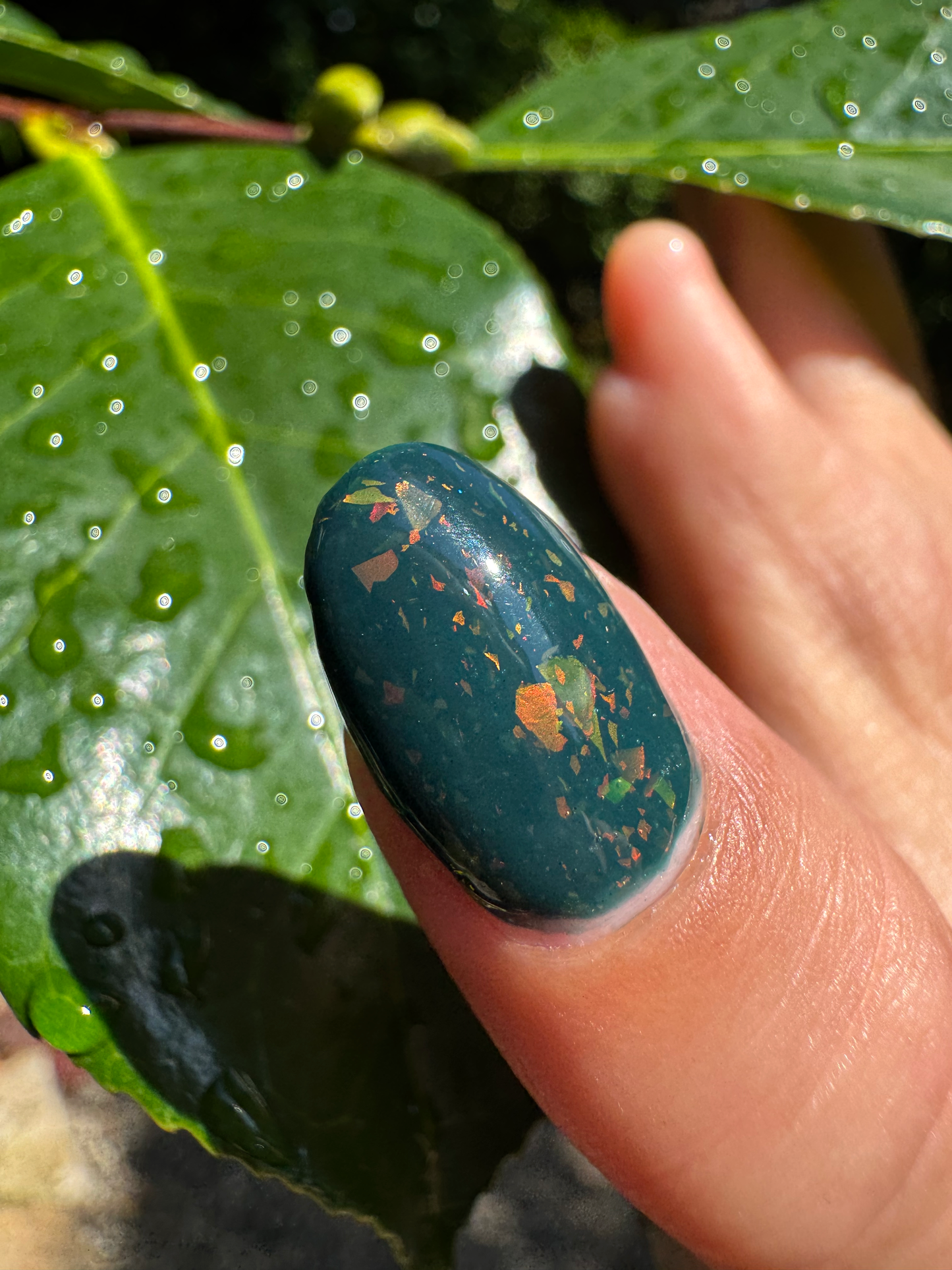 Fungal Wastes