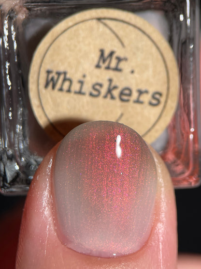 Mr. Whiskers