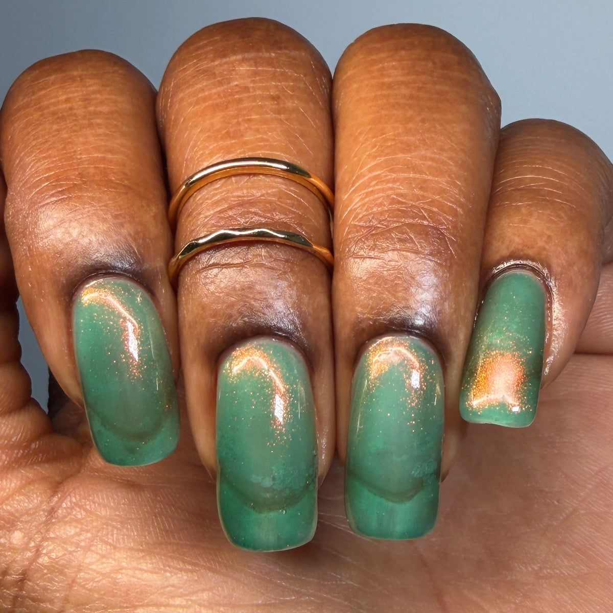Golden Toad – image 33 of 45