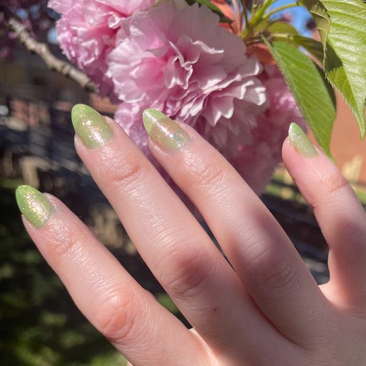 Rebirth of Spring