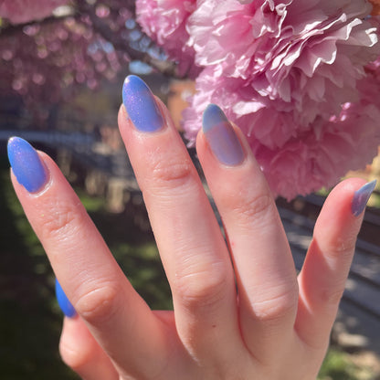 Azure Blooms