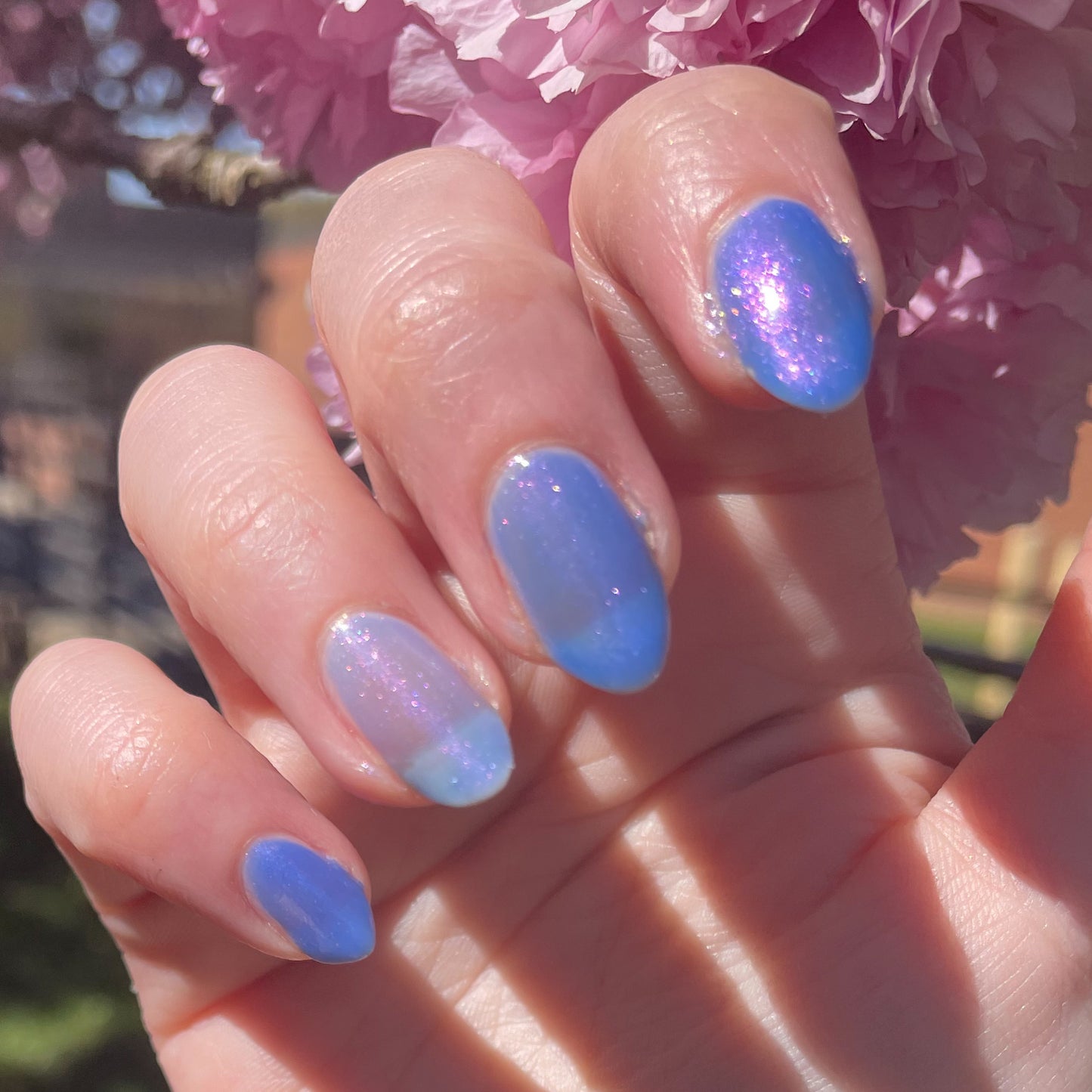 Azure Blooms