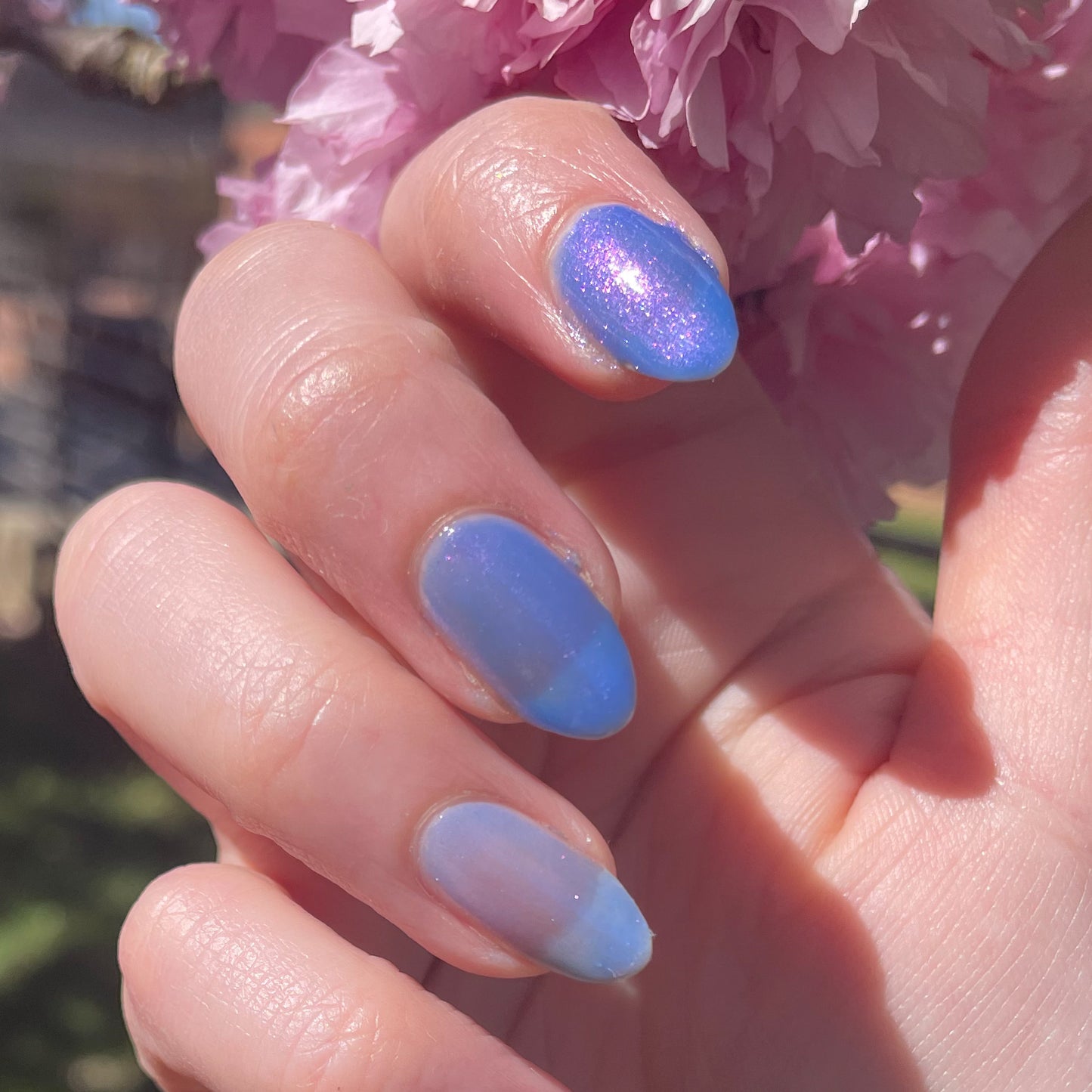 Azure Blooms