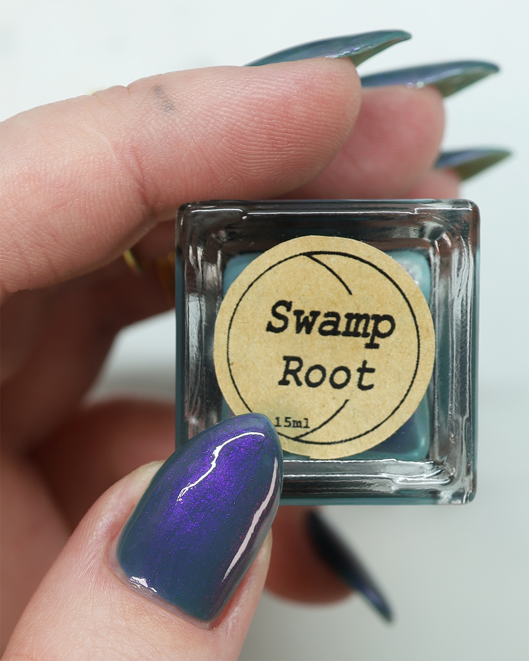 Swamp Root